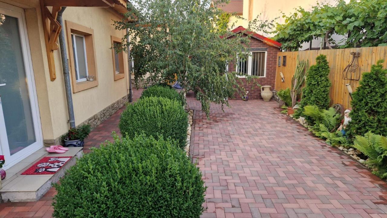 Casa Teo Hotel Buzău Exterior photo